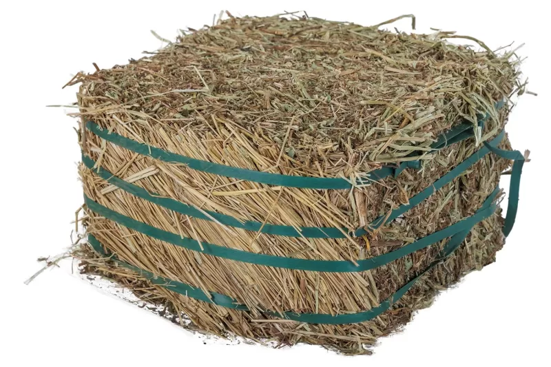 Peanut Hay – Energy-Rich Feed (5–6 kg)