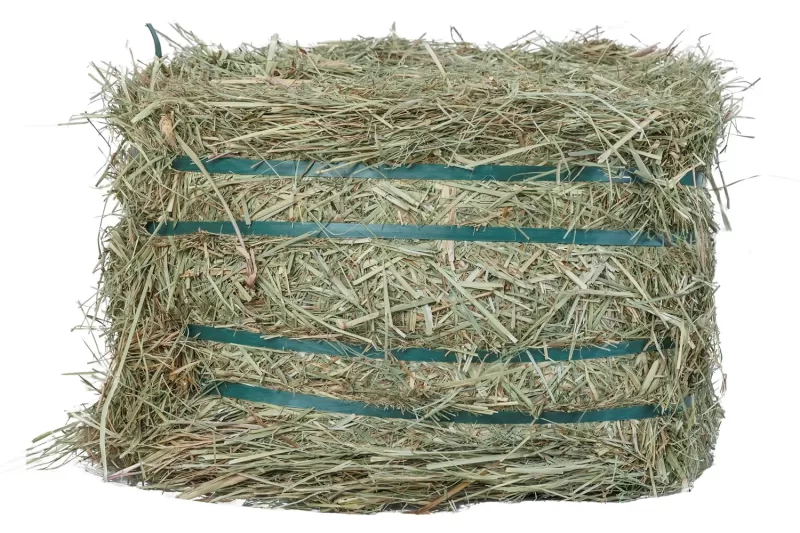 Rhodes – Double Compressed Bale (15–17 kg) - Image 2