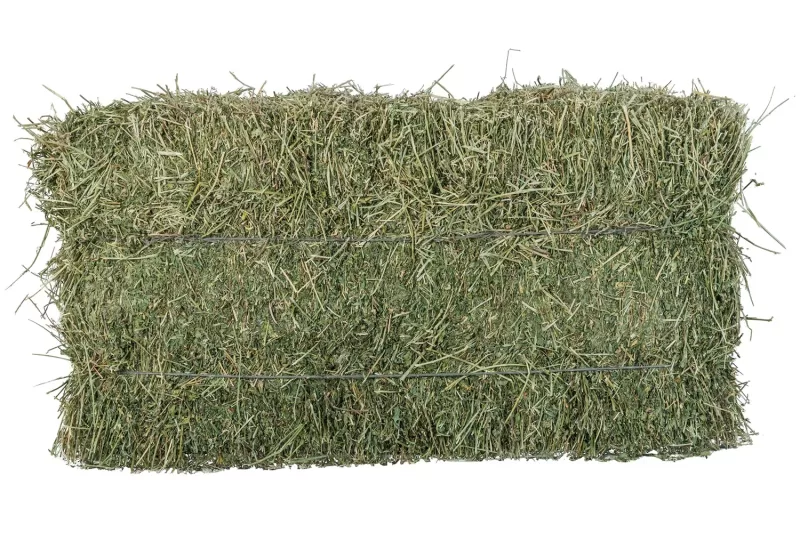 High-quality Egyptian Alfalfa 18-20kg