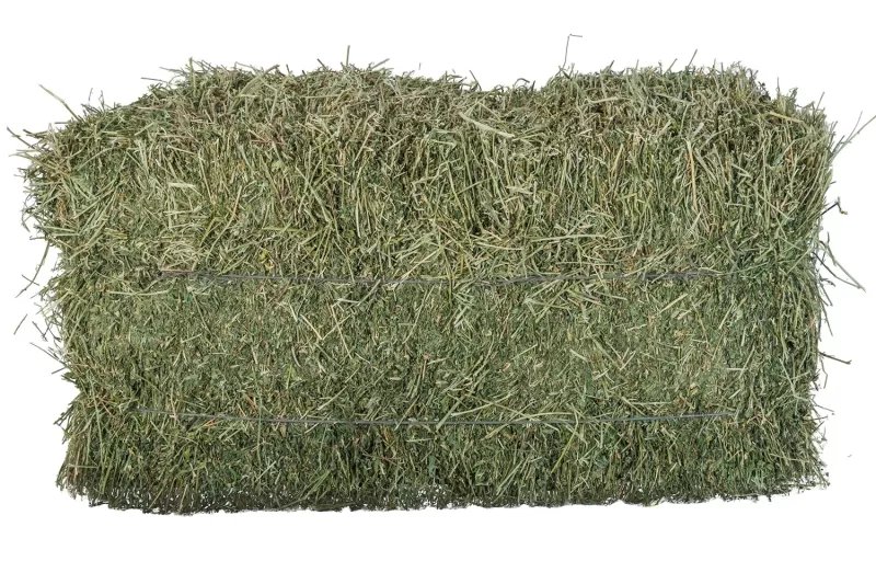 High-quality Egyptian Alfalfa 18-20kg - Image 2