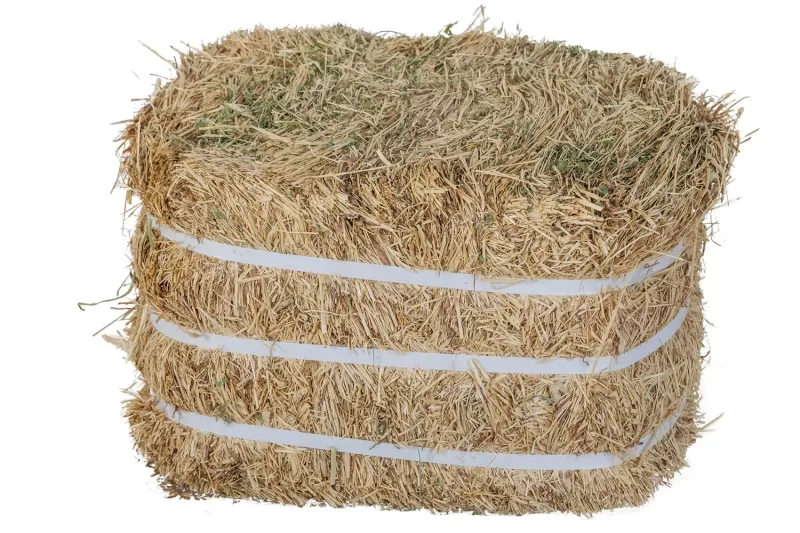 Timothy Hay Double Compress 28-30 KG - Image 2