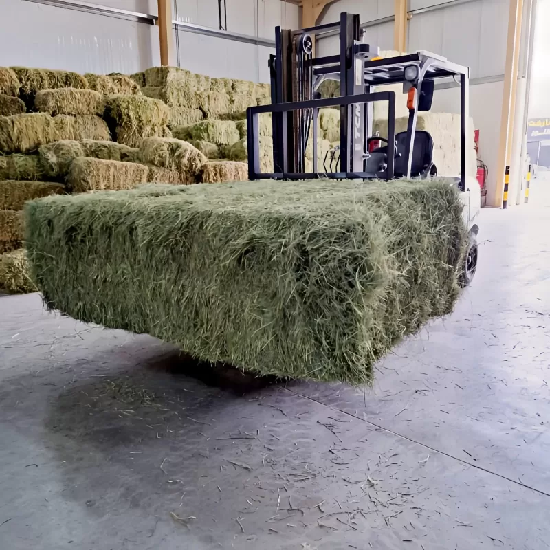 Rhodhes Grass Pakistani 350 - 400 Kg - Image 3